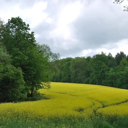 Stricker 22 By Interhome